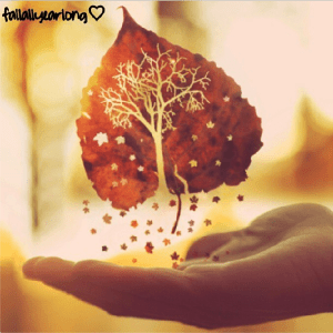 Photo Credit: Fall All Year Long on Instagram